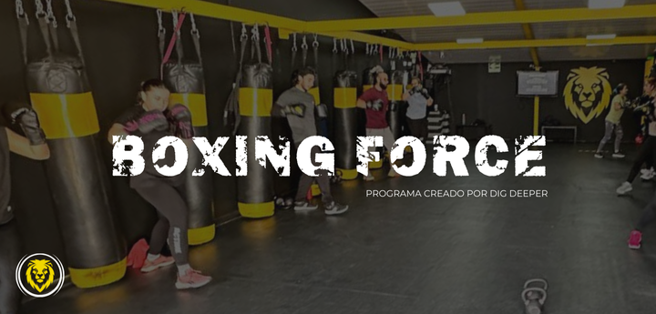 Boxing Force