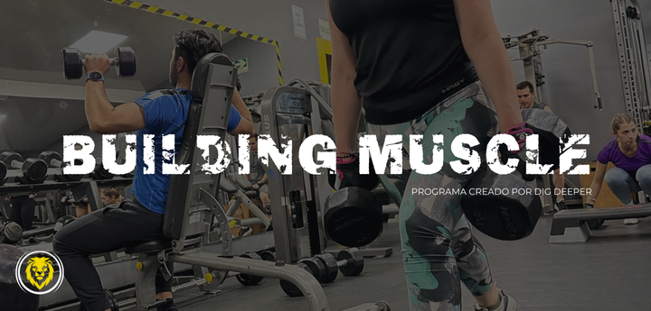 Building Muscle 